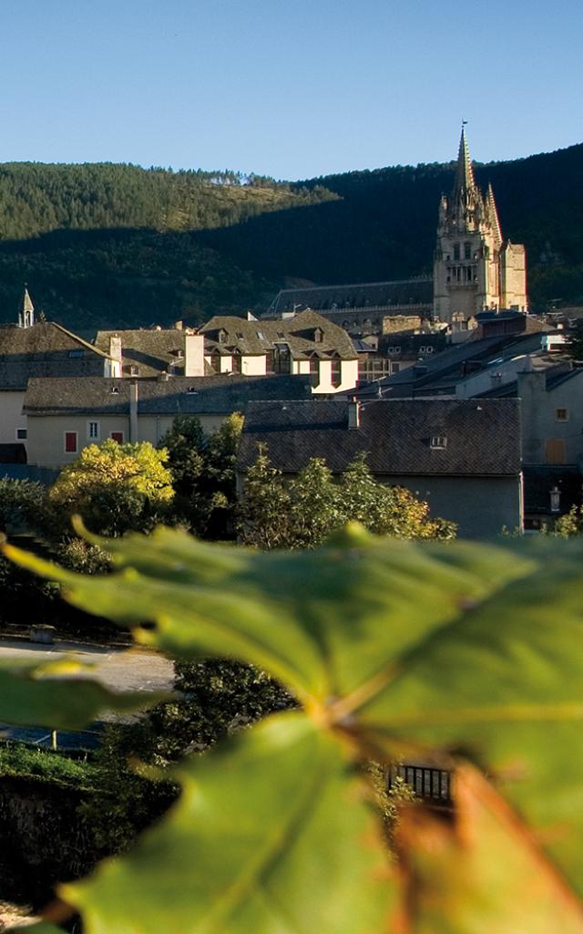 Vue panoramique du centre historique de Mende