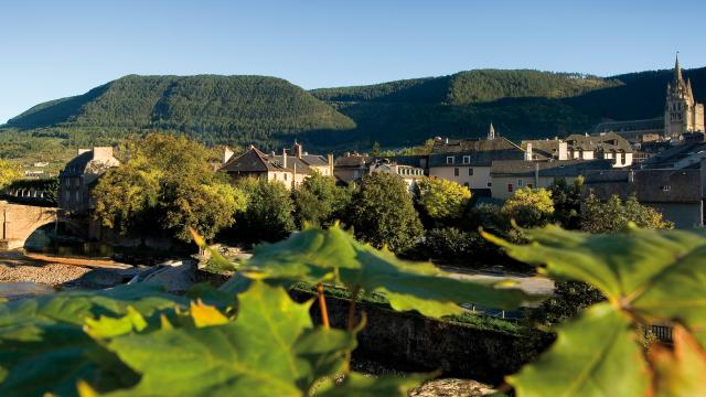 Vue panoramique du centre historique de Mende