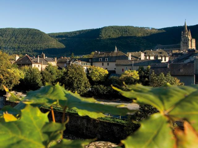 Vue panoramique du centre historique de Mende