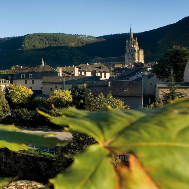 Vue panoramique du centre historique de Mende