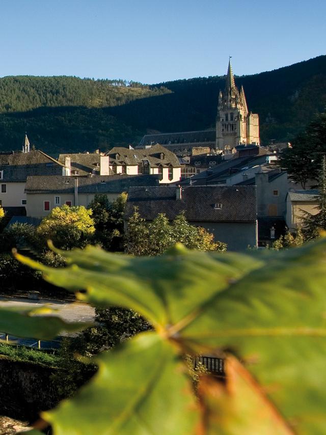 Vue panoramique du centre historique de Mende