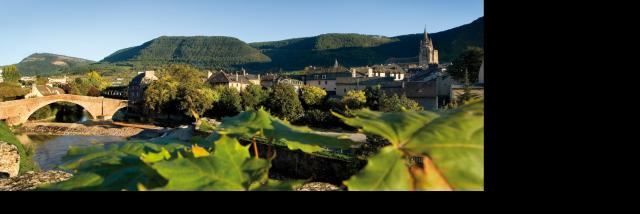 Vue panoramique du centre historique de Mende