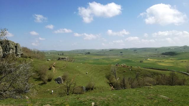 Aubrac 2