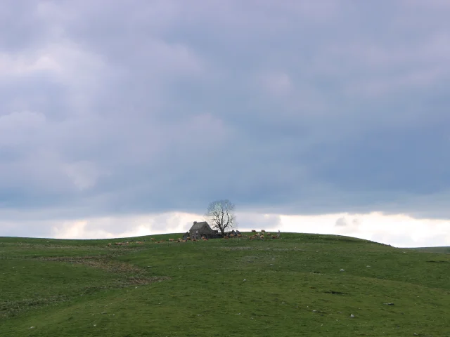 Buron Aubrac 1