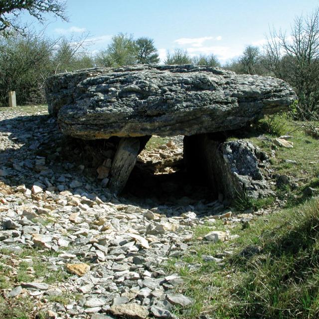 Le Dolmen de Changefège