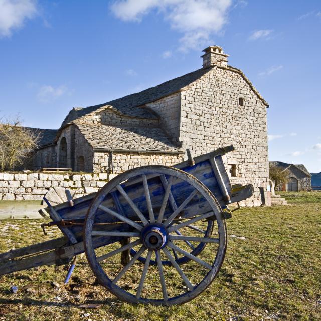 Ferme Caussenarde Des Boissets