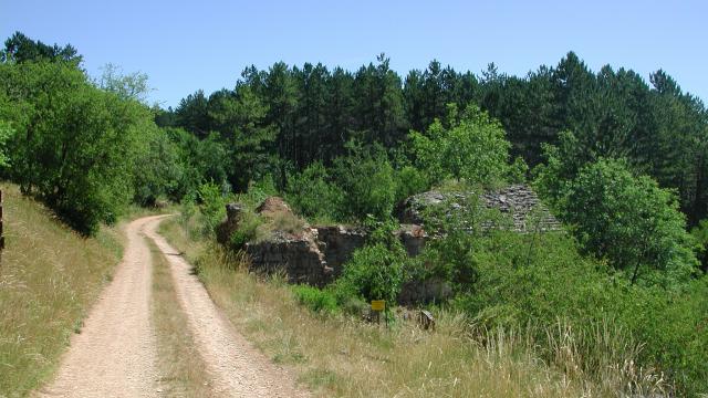 La Chaumette - Causse Mende