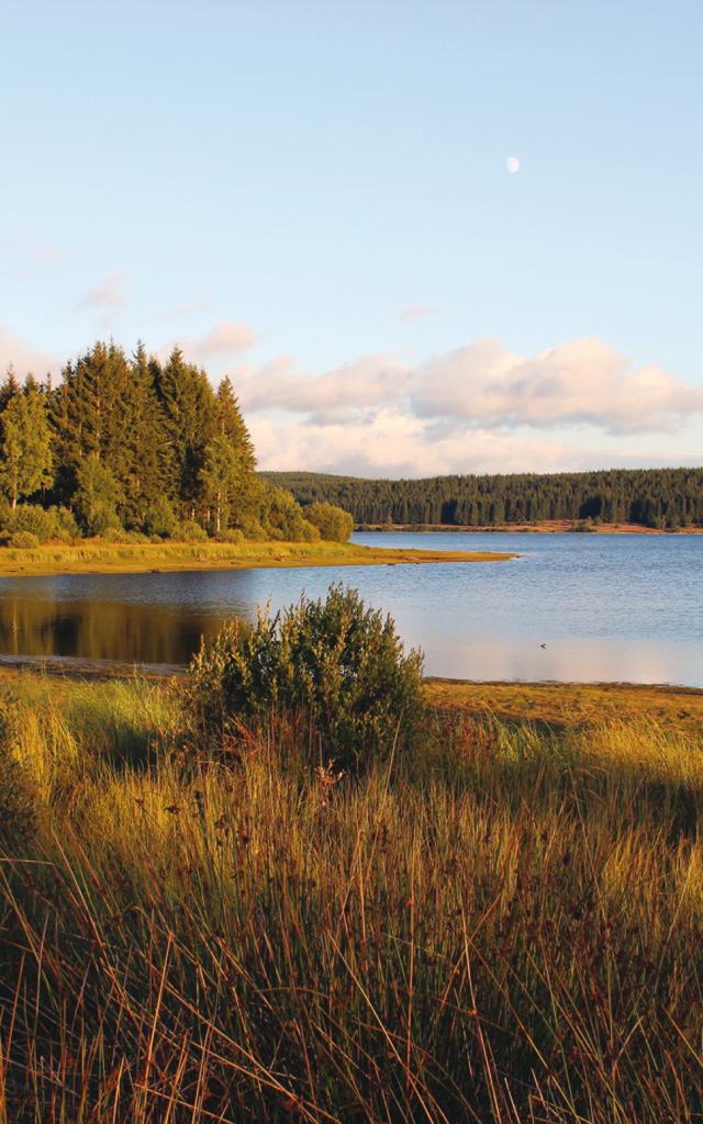 Lac de Charpal - Margeride en Lozère