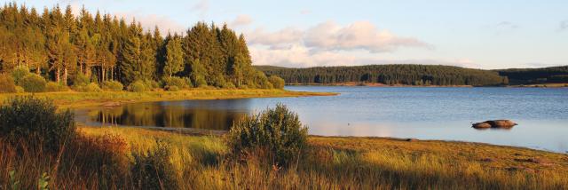 Lac de Charpal - Margeride en Lozère