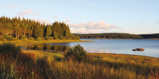 Lac de Charpal - Margeride en Lozère