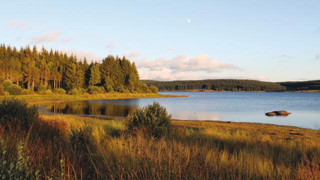 Lac de Charpal - Margeride en Lozère