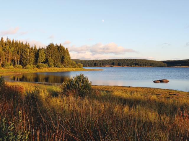 Lac de Charpal - Margeride en Lozère