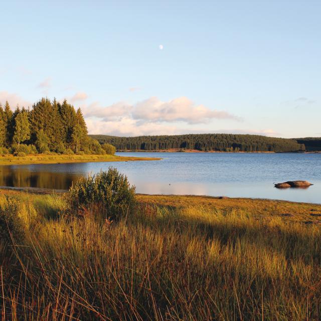 Lac de Charpal - Margeride en Lozère