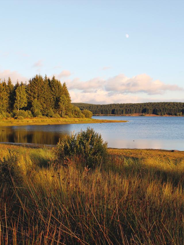 Lac de Charpal - Margeride en Lozère