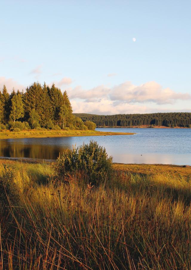 Lac de Charpal - Margeride en Lozère