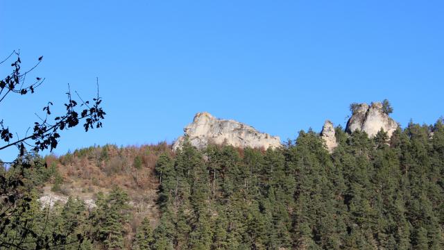 Le Lion de Balsièges (48)