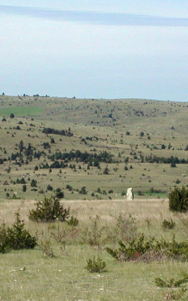 Menhir Freyssinel 1