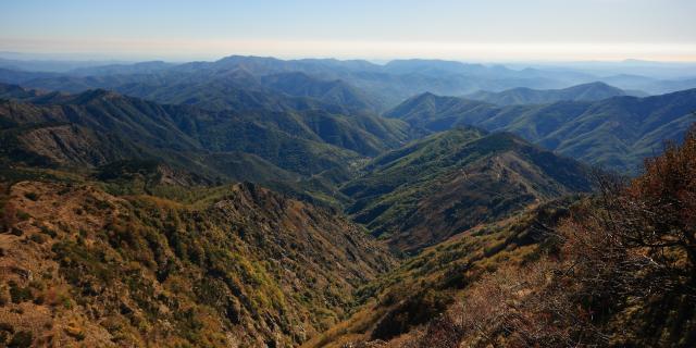 Mt Aigoual