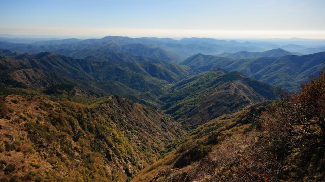 Mt Aigoual