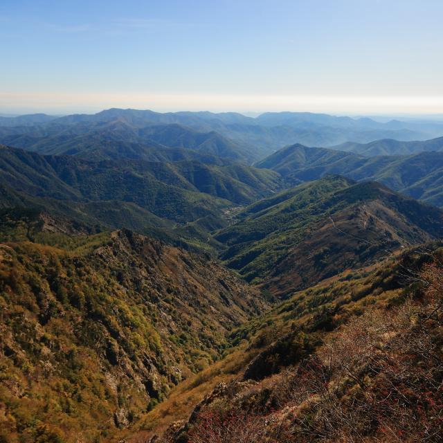 Mt Aigoual