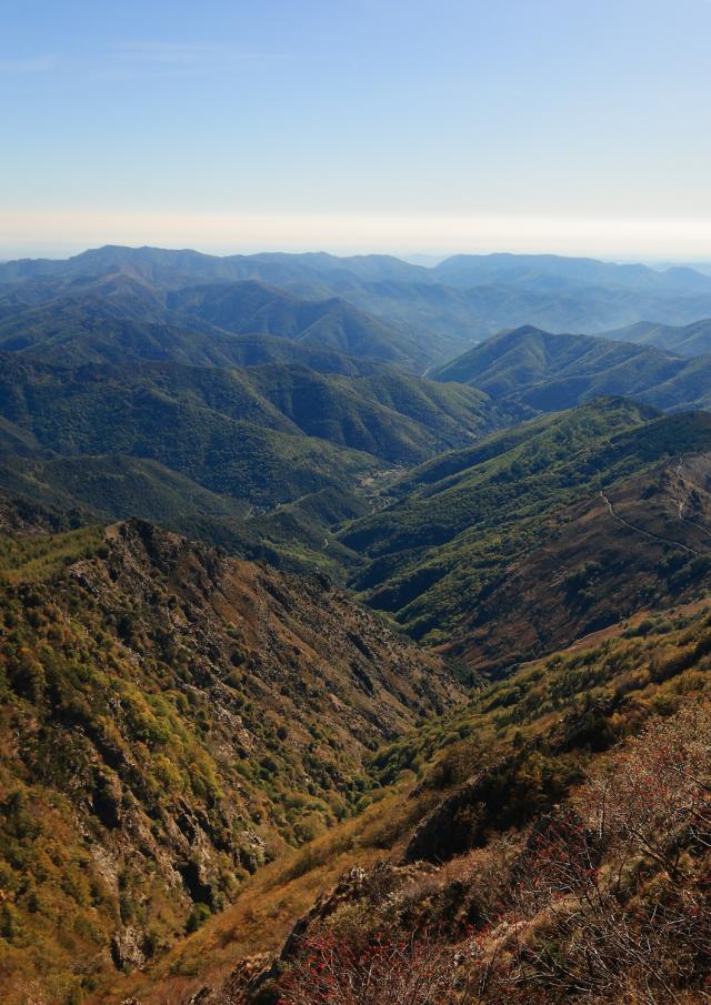 Mt Aigoual