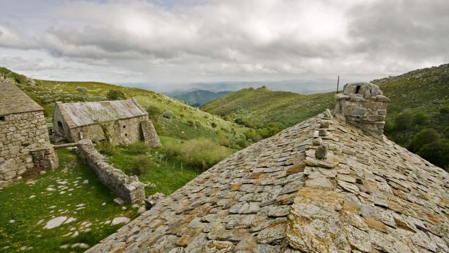 Mt Lozere 1