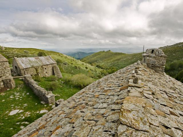 Mt Lozere 1