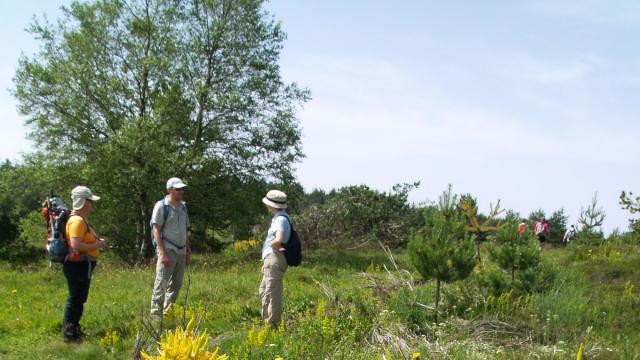 Randonnée découverte en Lozère