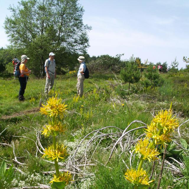 Randonnée découverte en Lozère