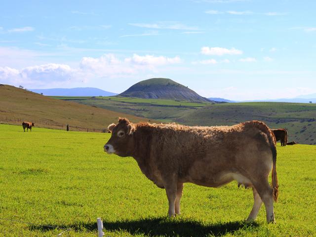 Site des Bondons - Mont-Lozère