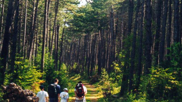 Randonnée sur le Causse de Mende