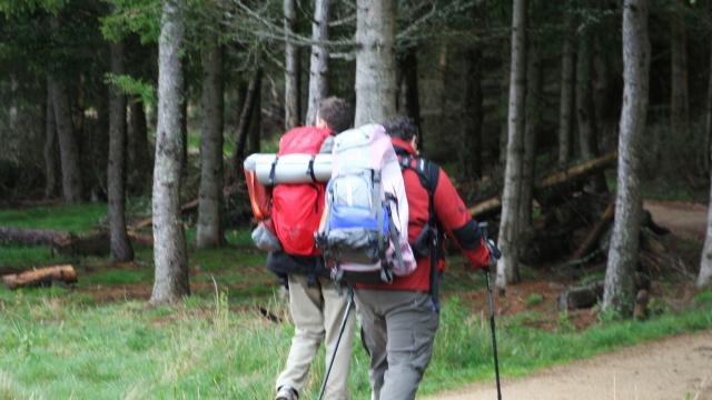 Randonnée en Margeride à proximité du Lac de Charpal