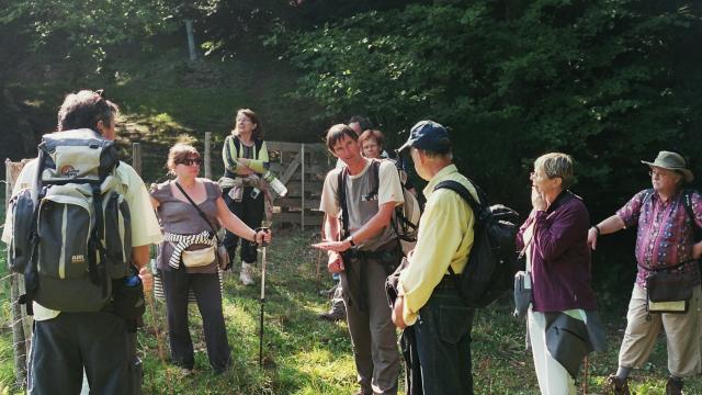 Benoit Courant, guide accompagnateur en montagne avec un groupe en forêt