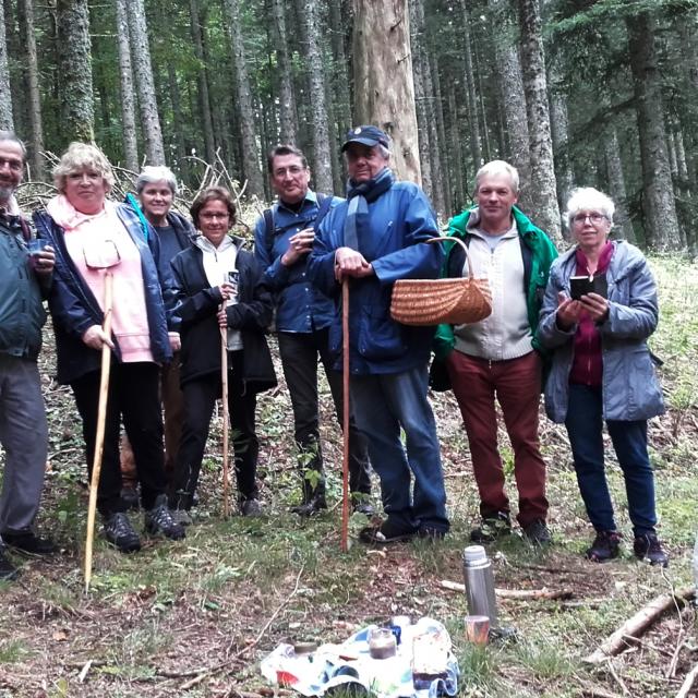 Groupe de marcheurs en forêt