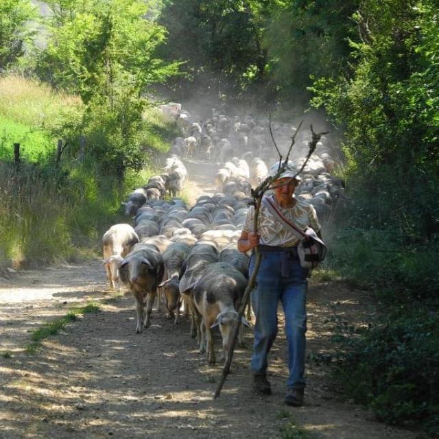 Instagram #lozere