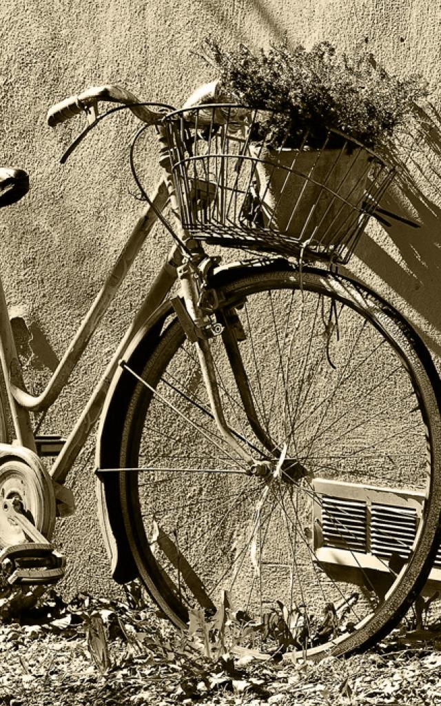 Bike©dan Fador Pixabay