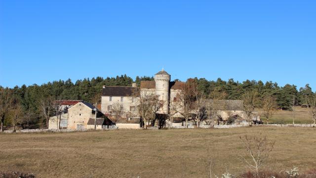 Bauernhof Choisal 2