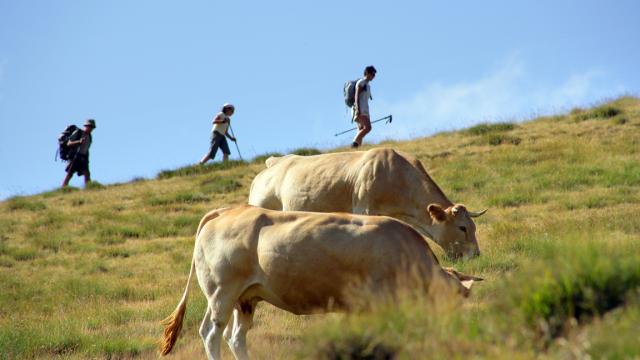 Rando Vache Phovoir (1)