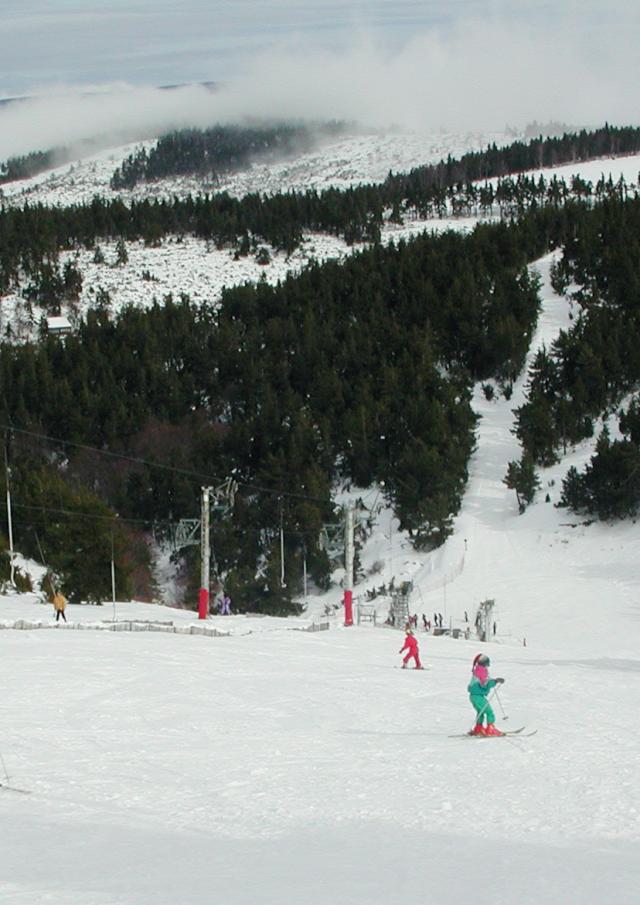 Ski Neige Station Mont Lozere 10@d