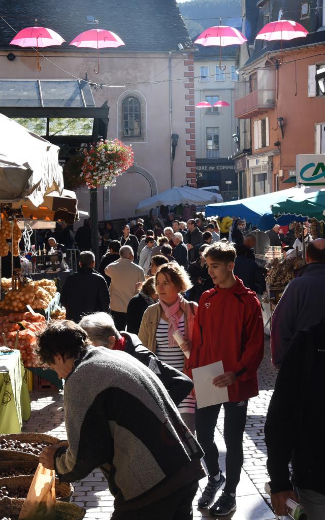 Toques Du Cepe 2017 5©mairie Mende