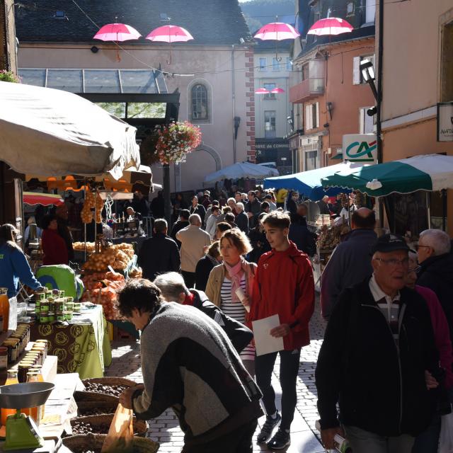 Toques Du Cepe 2017 5©mairie Mende