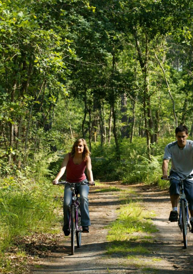 Vélo Couple©phovoir