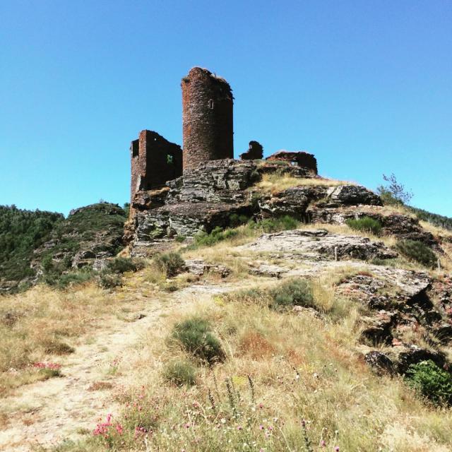 Instagram #lozere