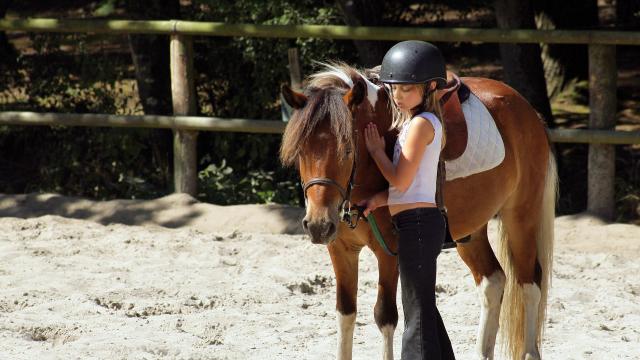 Equitation Cheval 2©phovoir