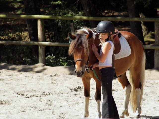 Equitation Cheval 2©phovoir