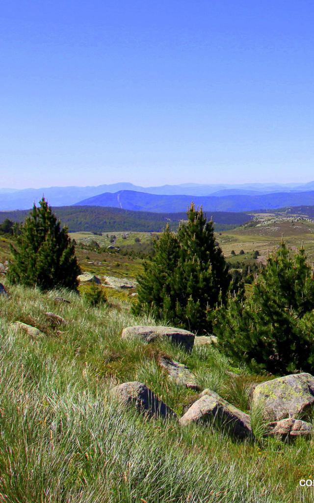 Rando Mt Lozere 2©chemins Francis