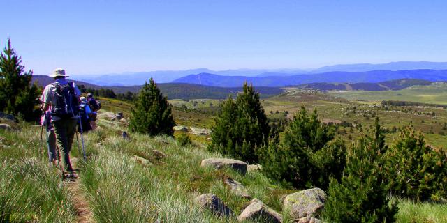 Rando Mt Lozere 2©chemins Francis