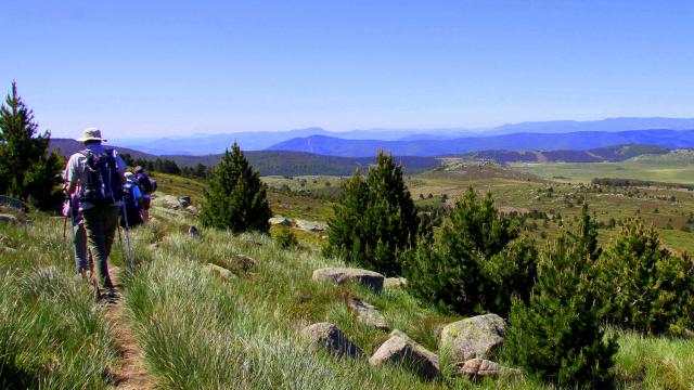 Rando Mt Lozere 2©chemins Francis