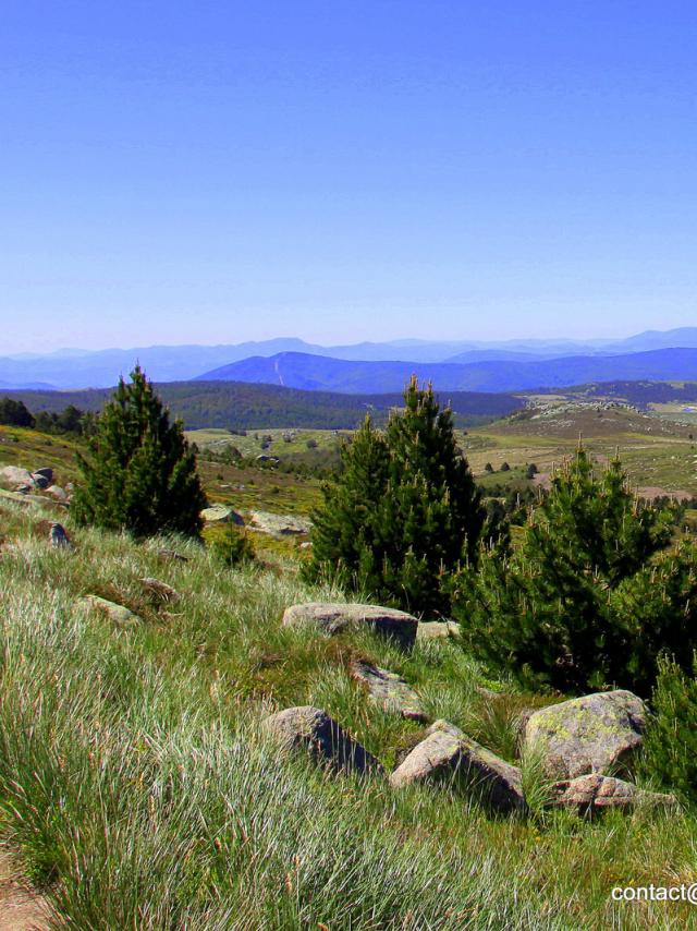 Rando Mt Lozere 2©chemins Francis