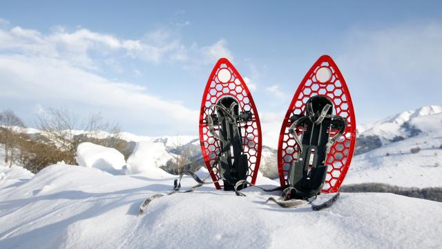 Raquettes à neige plantées dans la neige